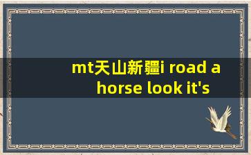 mt天山新疆i road a horse look it's very small